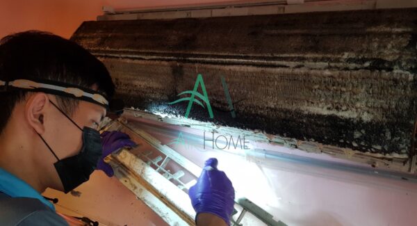 新北市英速魔法學院-乾華校區 / 學校冷氣清洗 分離式冷氣清洗