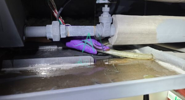 正淩精密工業股份有限公司 Nextronics Engineering Corp. / 辦公室空調 冷氣排水盤疏通