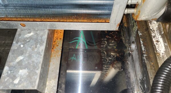 空調箱排水盤清洗後